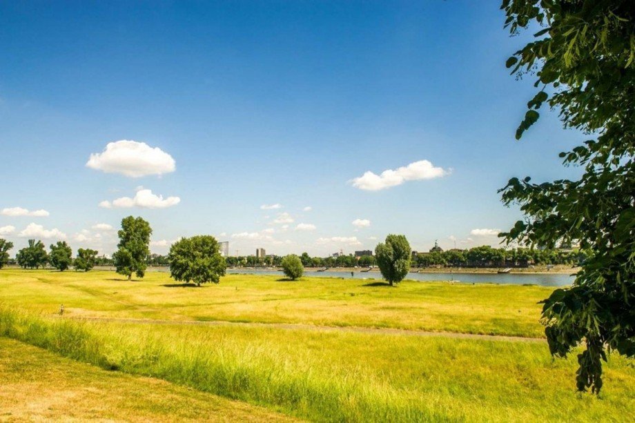 Rheinblick Wohnung D�sseldorf
