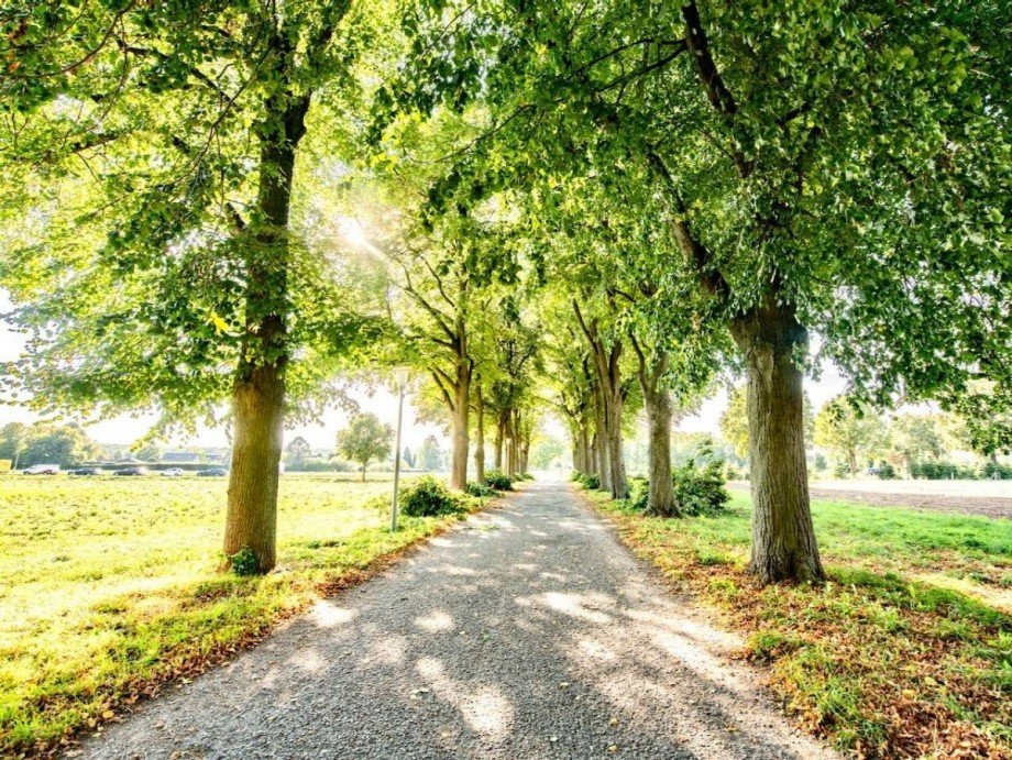 Lindenallee B�ro / Praxis Krefeld