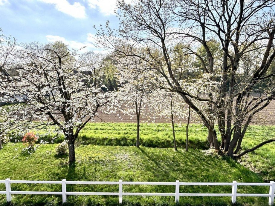 Ausblick Stra�enseitig Einfamilienhaus Krefeld