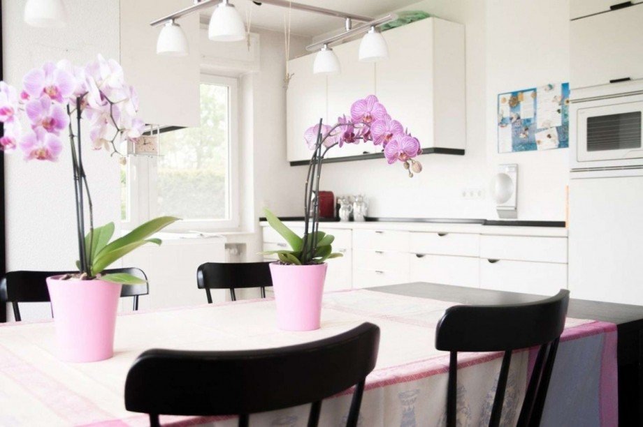 K�che Einfamilienhaus Viersen